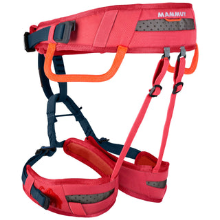 Charger l'image dans la galerie, Ophir Kids - barberry, baudrier d'escalade enfant