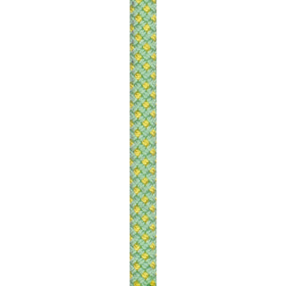 Afbeelding in Gallery-weergave laden, Stinger III (9.4mm, 80m) - unicore, drycover, anis, klimtouw