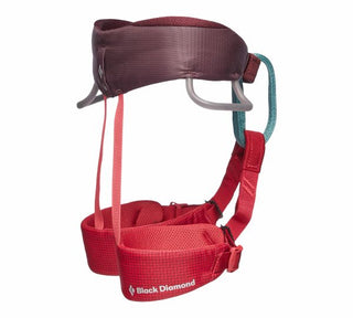 Load image into Gallery viewer, Momentum Kid's - wild rose, kid's climbing harness