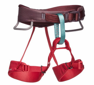 Load image into Gallery viewer, Momentum Kid's - wild rose, kid's climbing harness