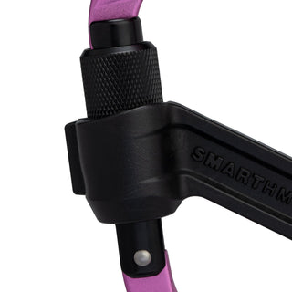 Afbeelding in Gallery-weergave laden, Smart HMS 2.0 - roze, HMS beveiligde karabiner