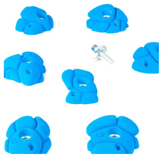 Load image into Gallery viewer, Yung, 10 medium climbing holds