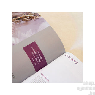 Afbeelding in Gallery-weergave laden, Glaces - Art, Expériences et Techniques, bergboek