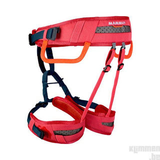Load image into Gallery viewer, Ophir Kids - barberry, kid's climbing harness