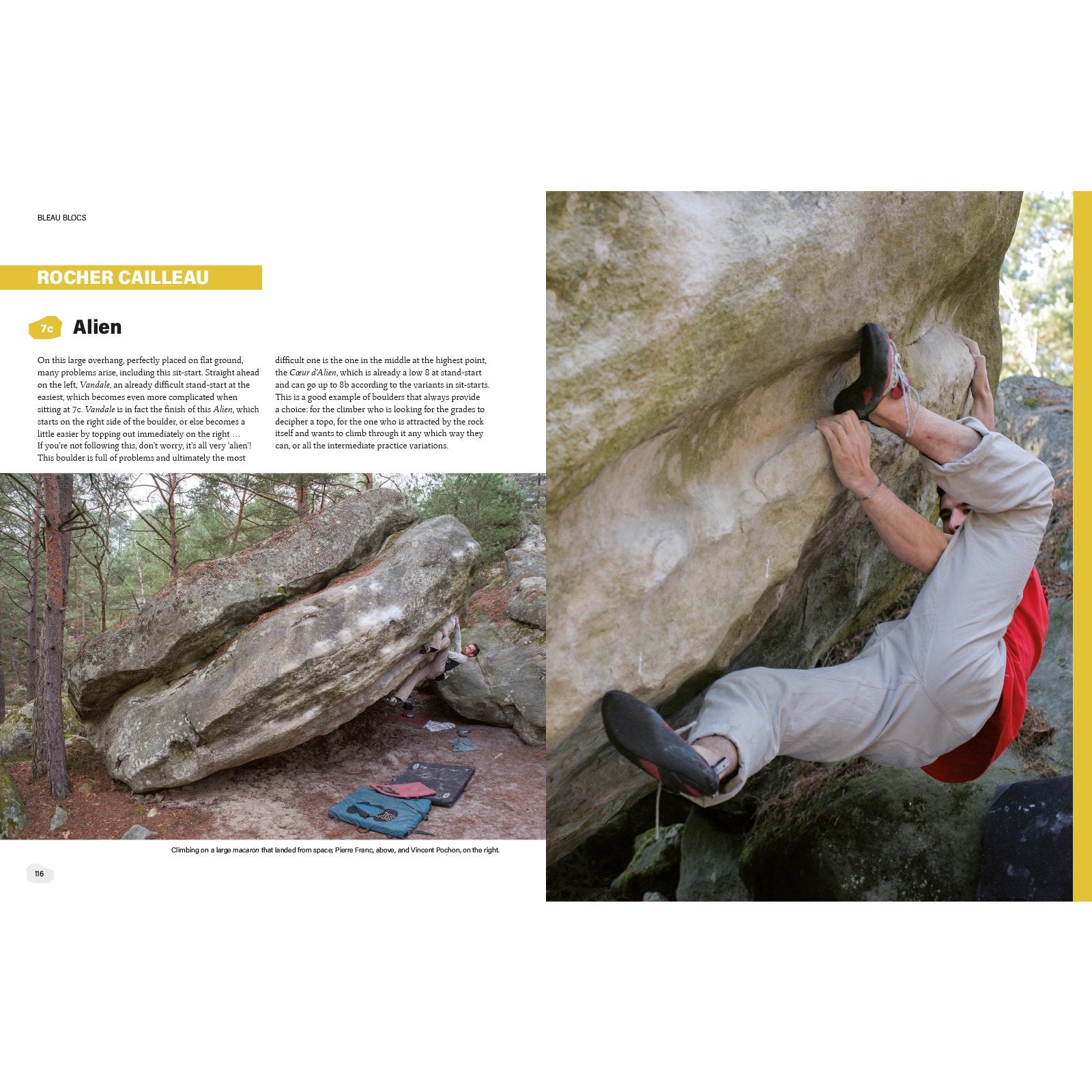Bleau Blocs (Anglais), topo-guide escalade