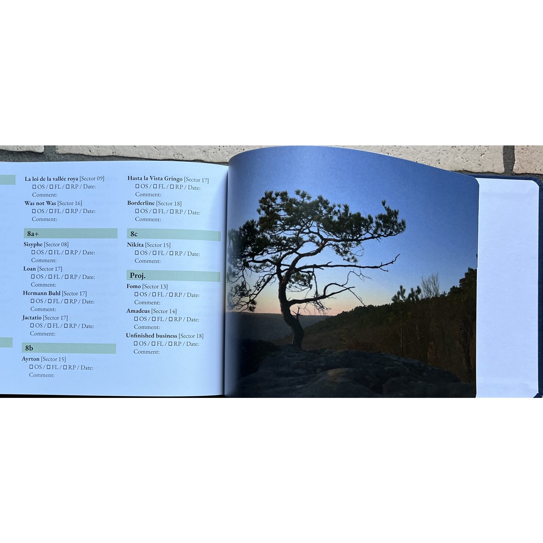 Castles Made of Sand (2025), topo-guide escalade