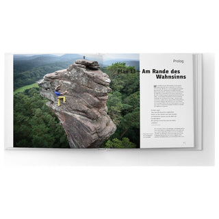 Load image into Gallery viewer, Die Pfalz. Das Buch. Palatinum (German), chronicle
