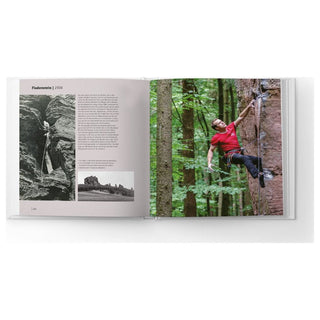Load image into Gallery viewer, Die Pfalz. Das Buch. Palatinum (German), chronicle
