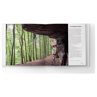 Load image into Gallery viewer, Die Pfalz. Das Buch. Palatinum (German), chronicle
