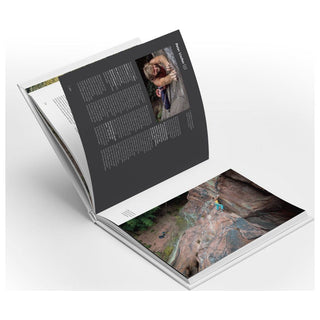 Load image into Gallery viewer, Die Pfalz. Das Buch. Palatinum (German), chronicle

