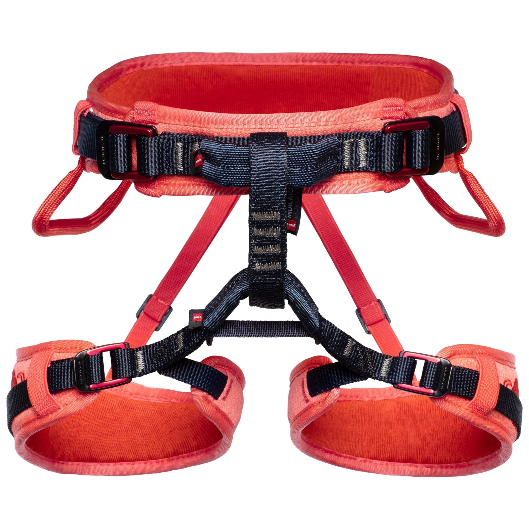 Ophir Kids - barberry, baudrier d'escalade enfant