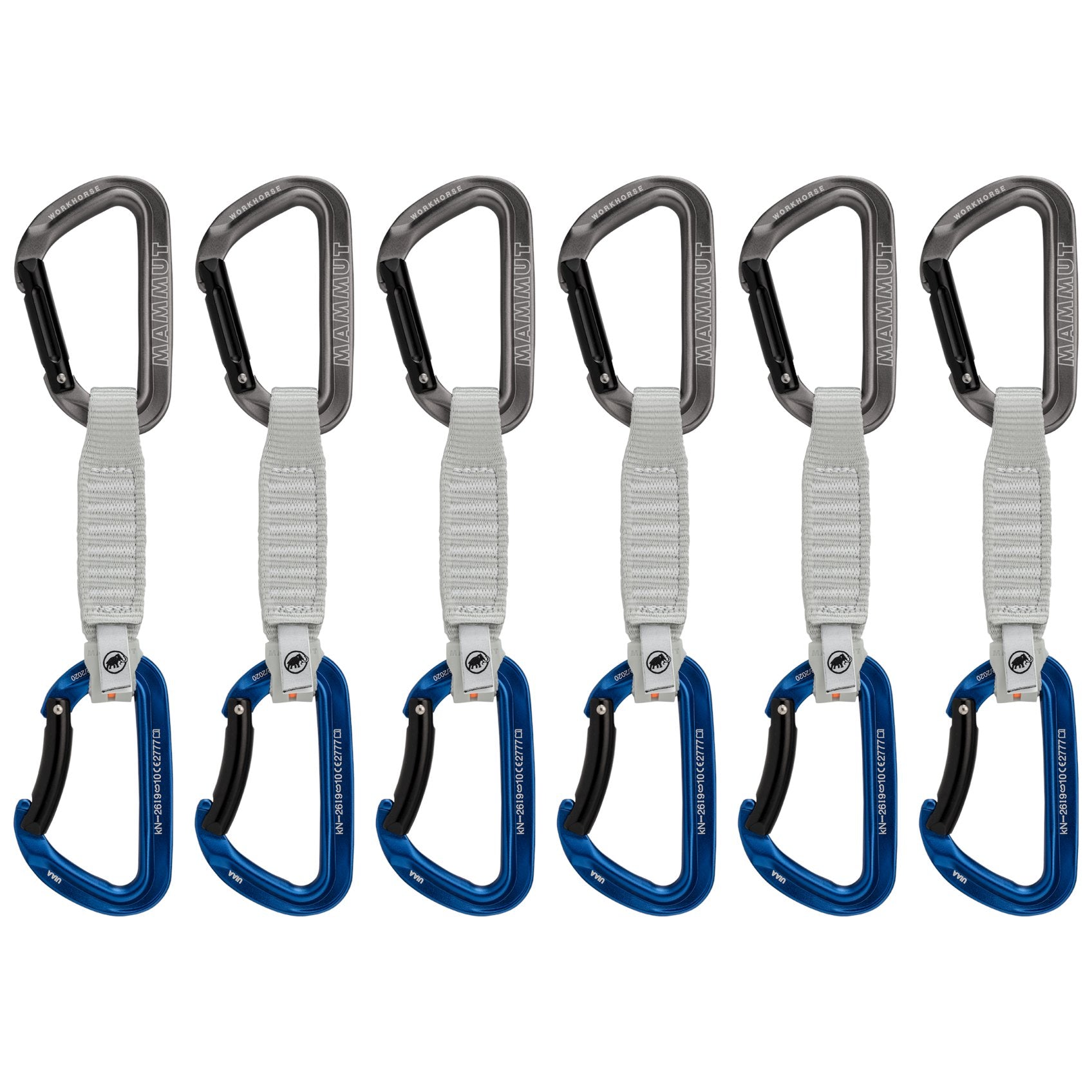 Workhorse keylock (12cm) - bleu, dégaine d'escalade - lot de 6