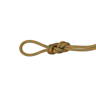 Charger l&#39;image dans la galerie, Alpine (8.0mm, 60m) - dry, corde à double
